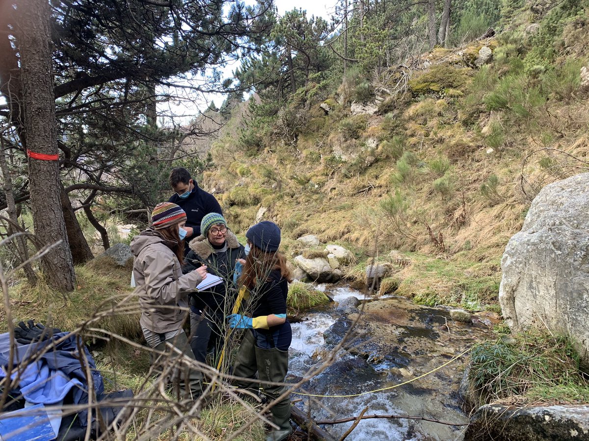 plastic0_pyr's tweet photo. 🏔Sortim al camp!🏔

📆Avui som prop de @AjSetcases amb el @ceabcsic i l’@IEA_UdG recollint mostres de plàstics i aigua🙌

@CTPPOCTEFA #POCTEFA https://t.co/tNrxxrAtHS