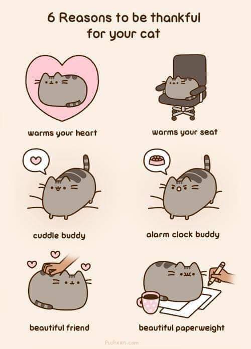 T_Timea_H's tweet photo. My last two months in a nutshell.
Credit: @Pusheen
#CatsOfTwitter
#homeoffice
#lifewithcat
#workwithcat https://t.co/Yw1XAAafi1