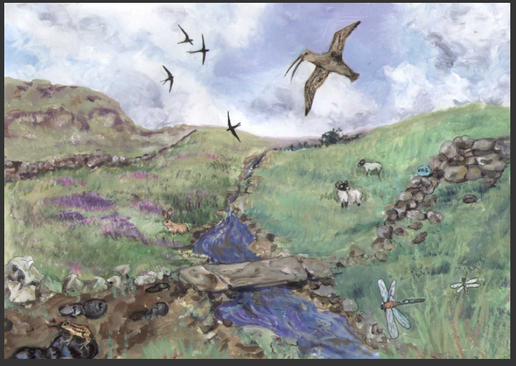 Take a picture of natural wildlife on your walk today and send us a picture! 

We have 10 FREE prizes each day for the next 9 days. Like and retweet then send your name and address to opennorthyorkshire@northyorks.gov.uk and you might be one of the 10 lucky winners!