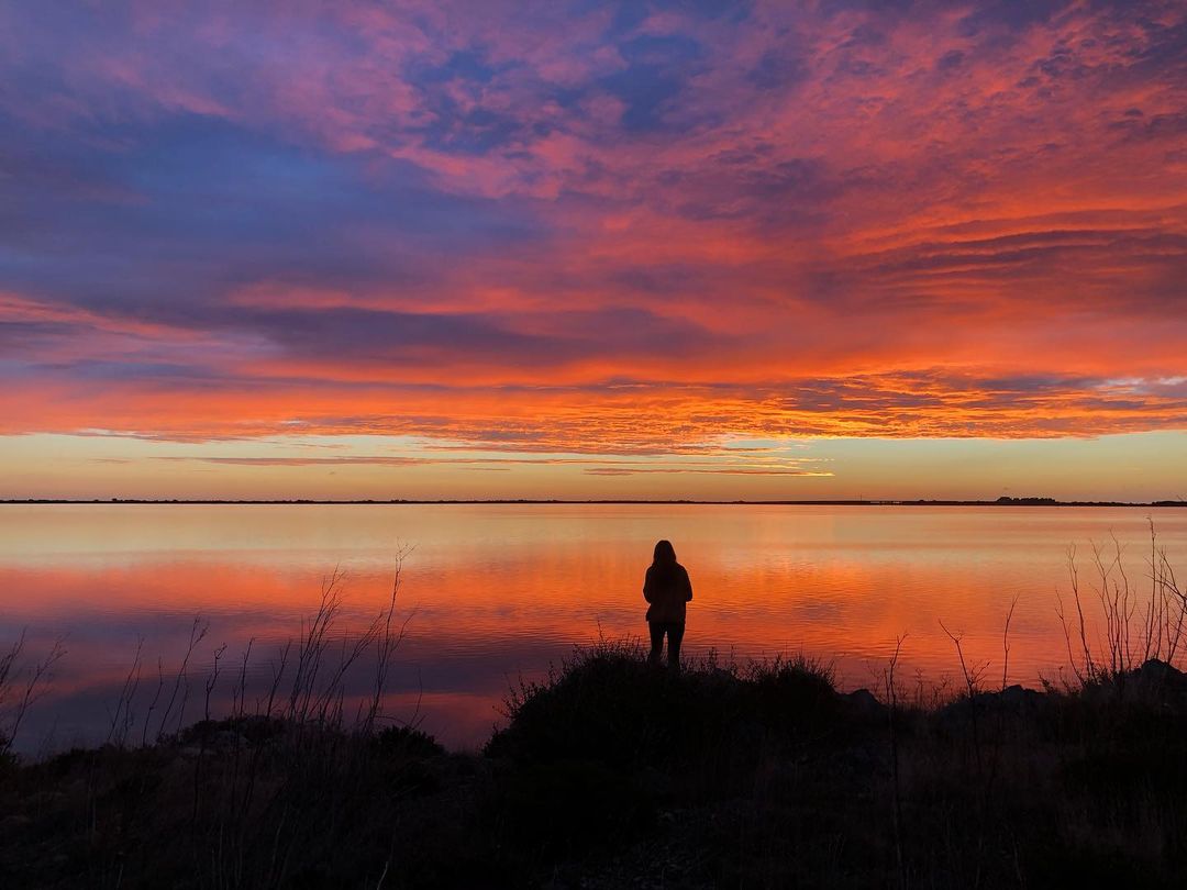 leucatetourisme's tweet photo. 🔥  Ciels de feu  🤩
Votre préféré ??

1️⃣ @lebleu.leucate
2️⃣ @emma_s_baker
3️⃣ @jaja.jolly
4️⃣ @_mtacom_

#leucate #sunset #sunrise #mediterranee #suddefrance #francetourisme #sunrise_and_sunsets #nature_addict #photooftheday #jaimelaude https://t.co/PIQYtACCk2