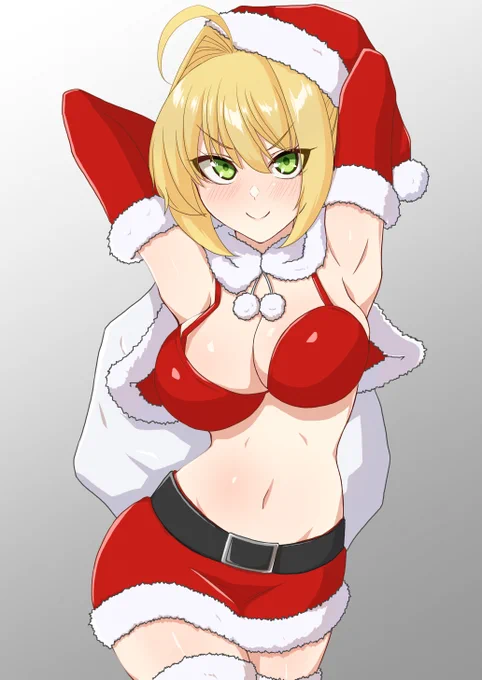 配布ネロサンタのファンアートです(幻覚)

#FGO #FateGO 
