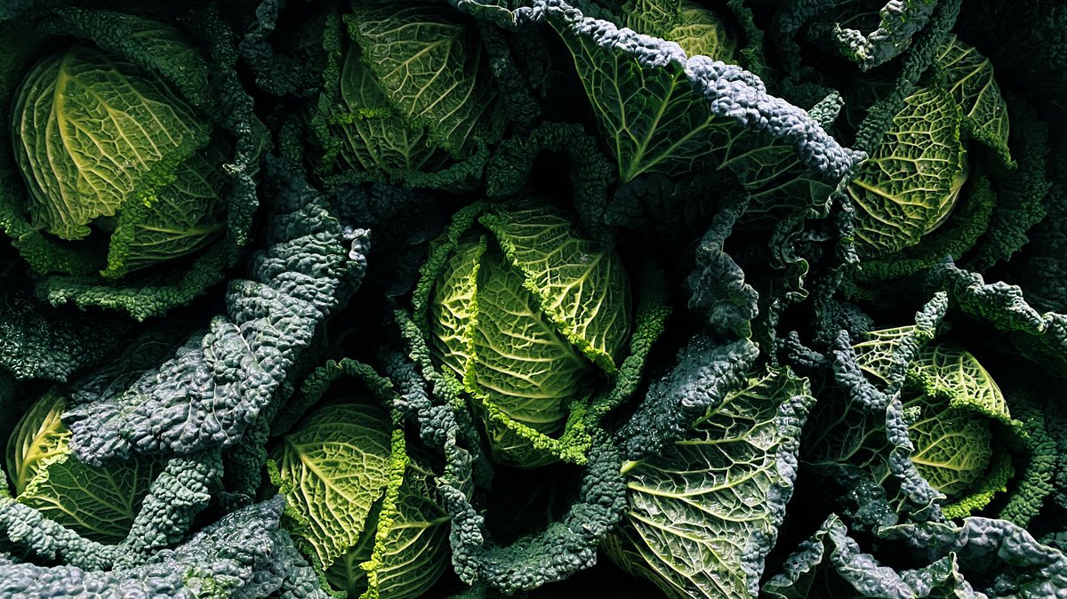 No Christmas lunch at The Savoy this year but these beauties have just been cut for the  farm shops we supply.