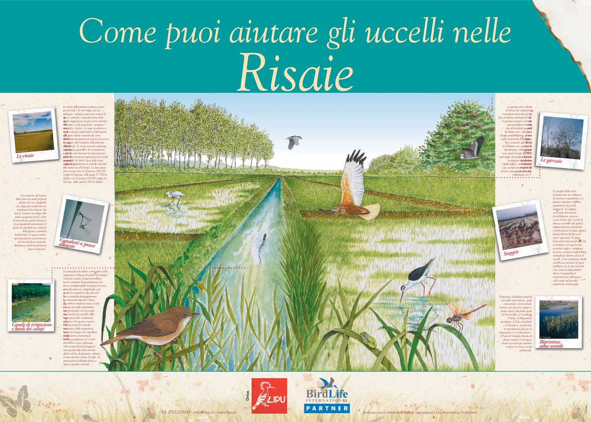 Questi dati confermano gli studi effettuati da  @LipuOnlus e  @unipv.