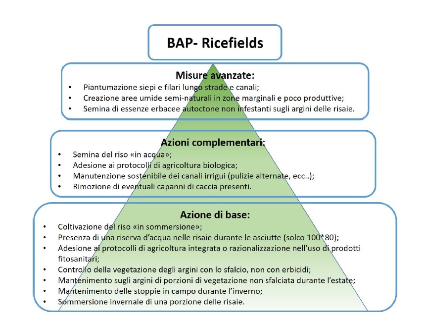 Questi dati confermano gli studi effettuati da  @LipuOnlus e  @unipv.