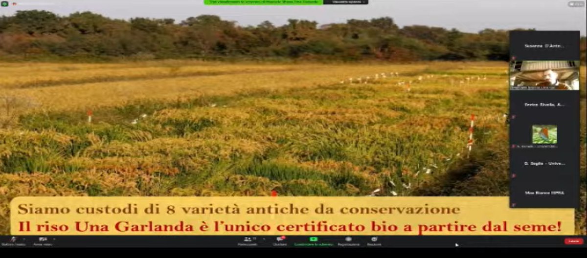 Le aziende ci mostrano che tutto ciò si può fare e portano miglioramenti ecologici, sociali ed economici.  #unagarlanda e  http://www.polyculturae.it&nbsp;(il riso che consumo è differente :) vi assicuro che si sente anche al palato)