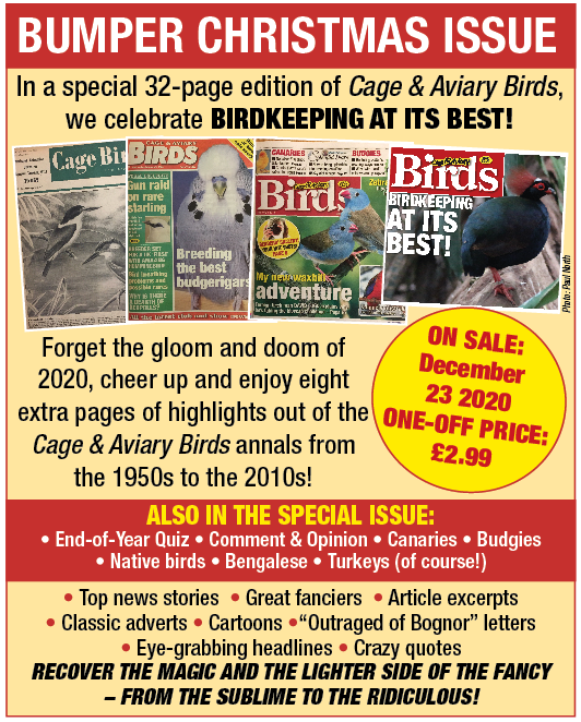 CageAviaryBirds's tweet photo. https://t.co/33ER6L9twF