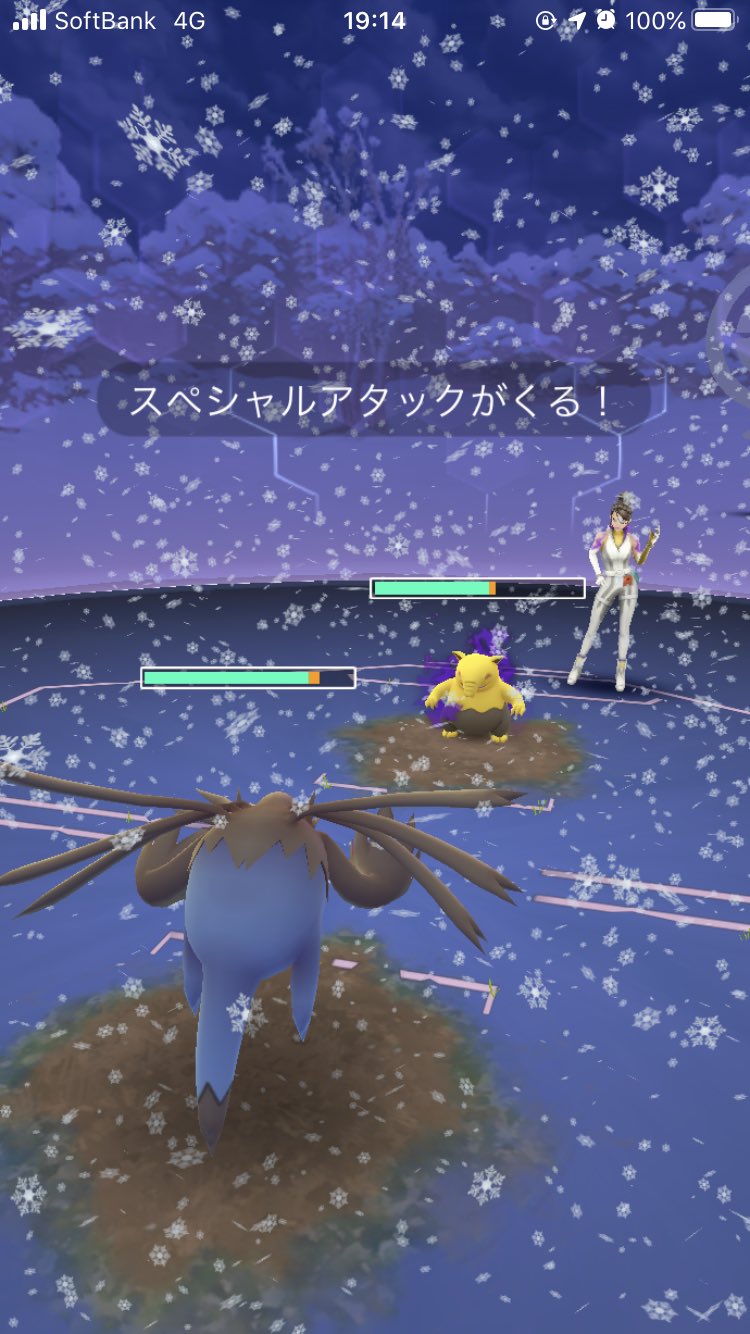 Shiphonography Spinaldrainage Twitter