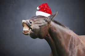 pelletbeds's tweet photo. Thank you for all of your support during 2020
PelletBeds will deliver order placed before 5pm Friday 18th, before Christmas, with limited deliver between 29th and 31st and normal deliveries from January 5th.
Have a fantastic Christmas and new year and here's to a wonderful 2021! https://t.co/9hB9n3SJEF