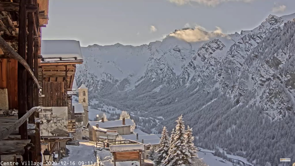 wePowder tweet media