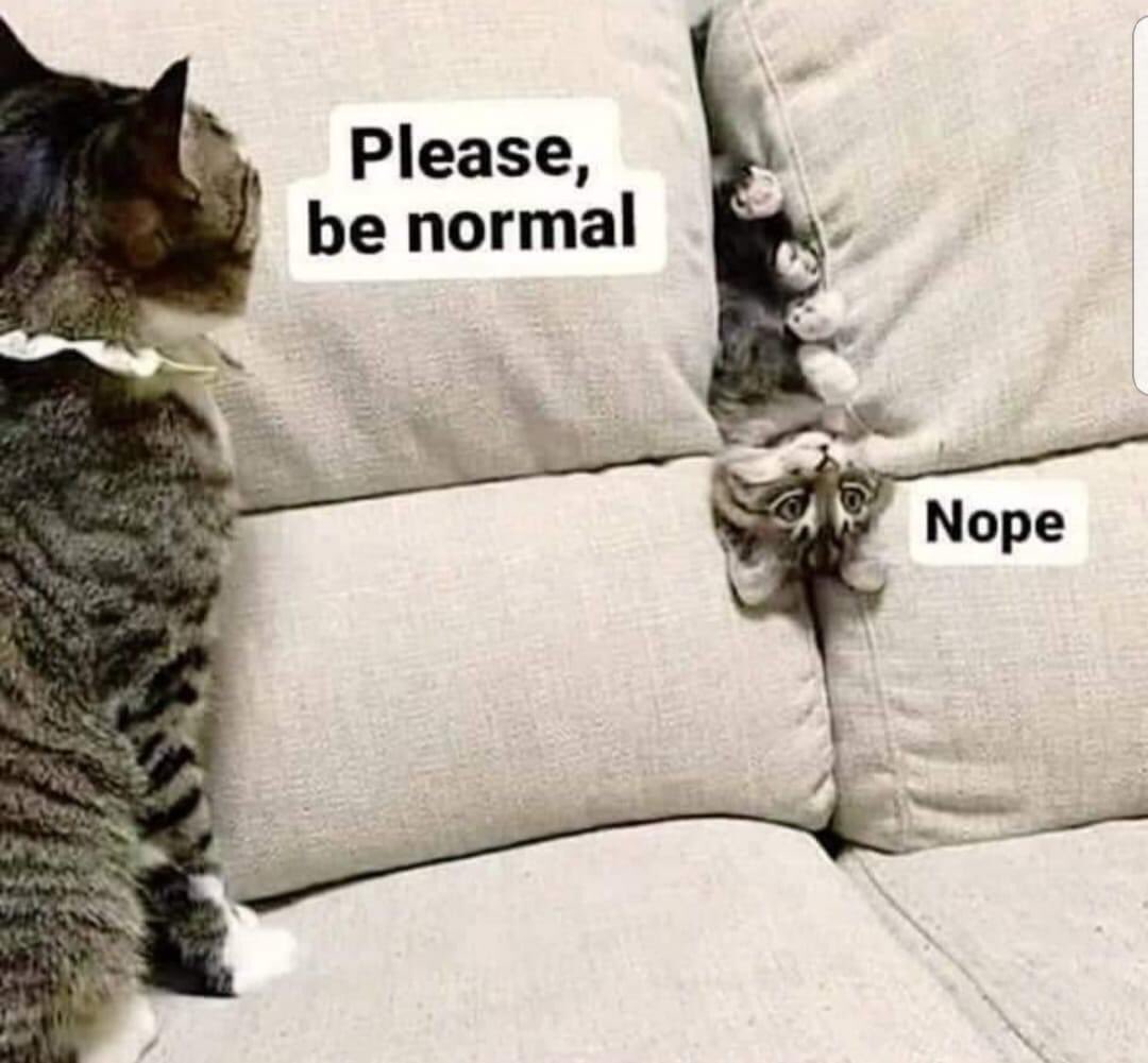 Αρνούμαι καθετί φυσιολογικό.