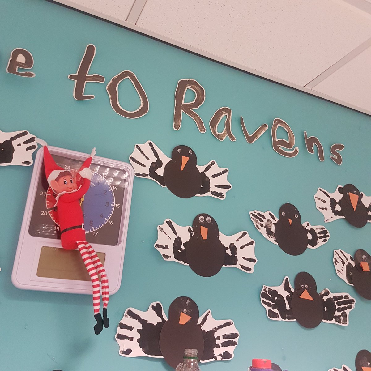 Elvis can't wait for the Christmas dinner! Is it lunchtime yet? 🕛🎄🍽 @coopnightingale