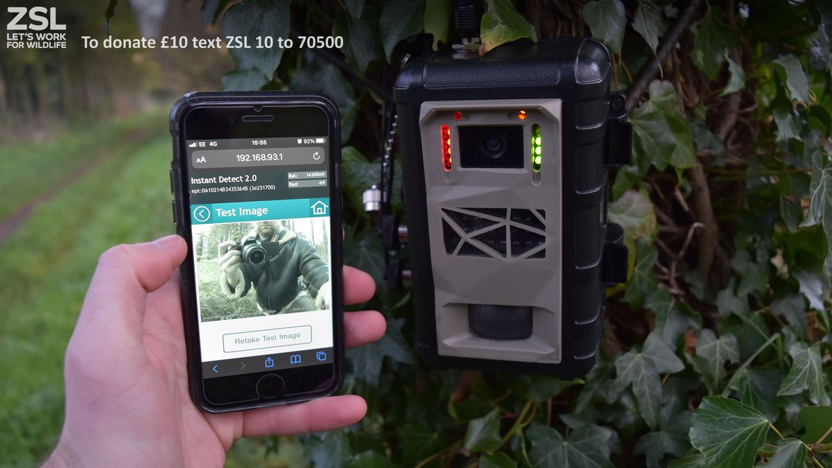 OfficialZSL's tweet image. The #InstantDetect2 Access Tool makes set-up and maintenance of satellite connected cameras intuitive and easy from any mobile device without having to disturb the camera. Designed for conservationists, by conservationists - all thanks to players of @postcodelottery.