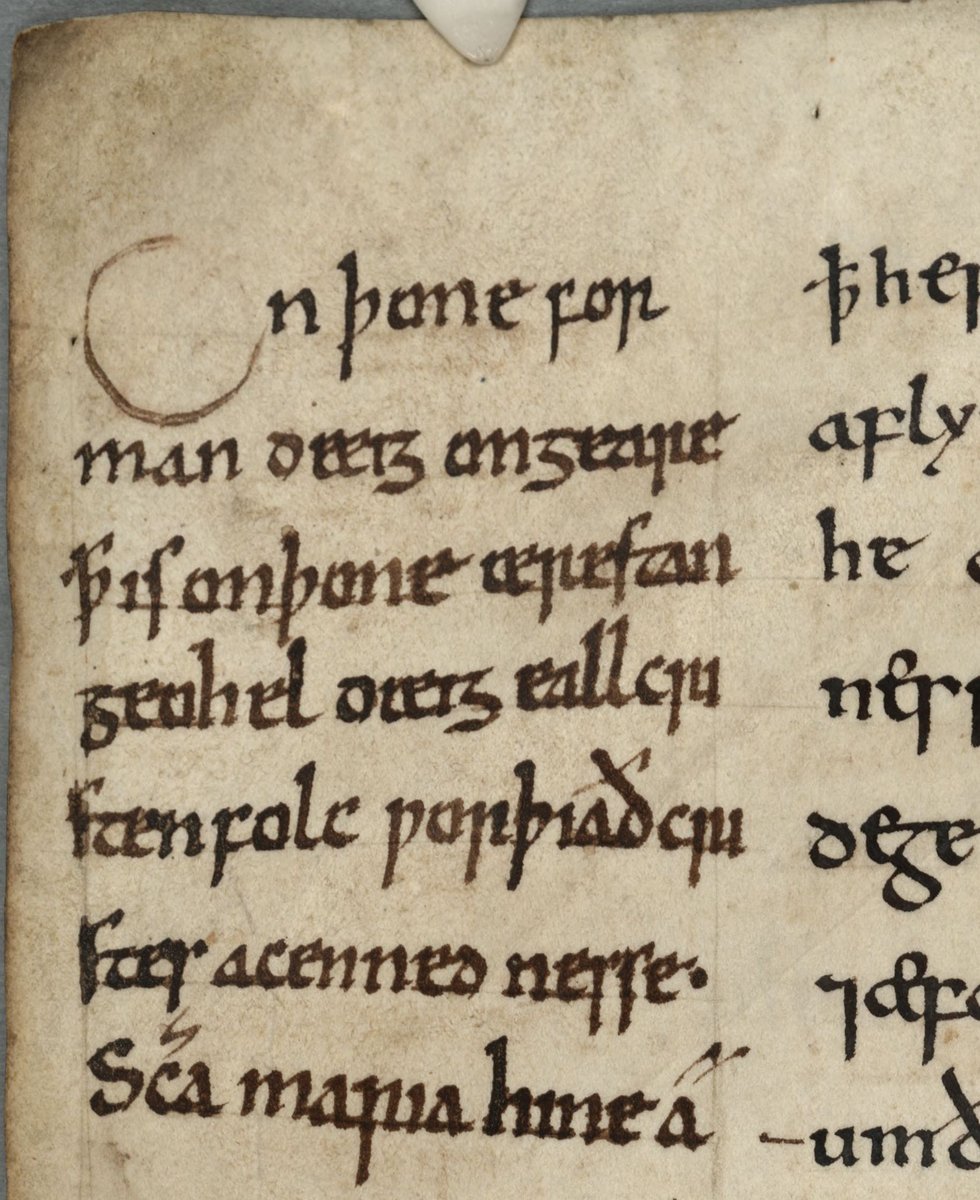 ParkerLibCCCC's tweet photo. #ParkerAdvent2020 Day 16: #Christmas #marginalia from our celebrated #OldEnglish #Bede (#CCCC41): “On þone forman deeig on geare þæt is on þone ærestan geohel dæig” ('Of Christmas Day & the marvels accompanying the Nativity')
#Advent #AdventCalendar #MedievalTwitter #Nativity https://t.co/uUp2wik6iW