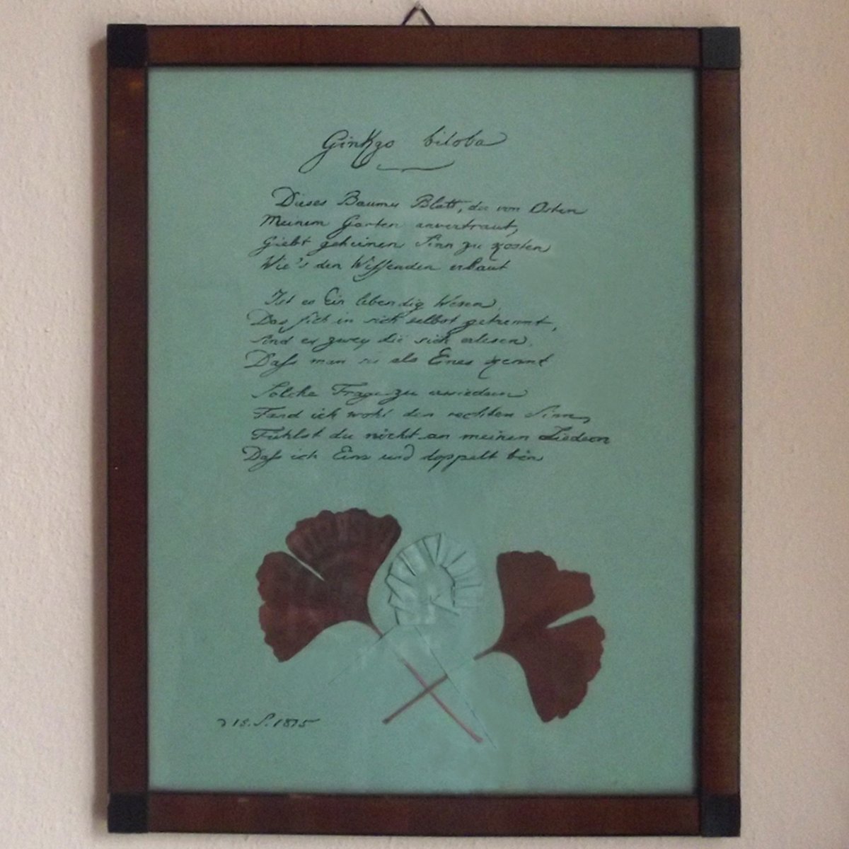 talesofgoethe's tweet photo. Hier noch ein paar Impressionen von meinem Besuch des Willemer-Häuschens im Sommer 2019.
#Goethe #GoetheOrte #goethewarhier #ginkgobiloba https://t.co/ylFmiBibaQ