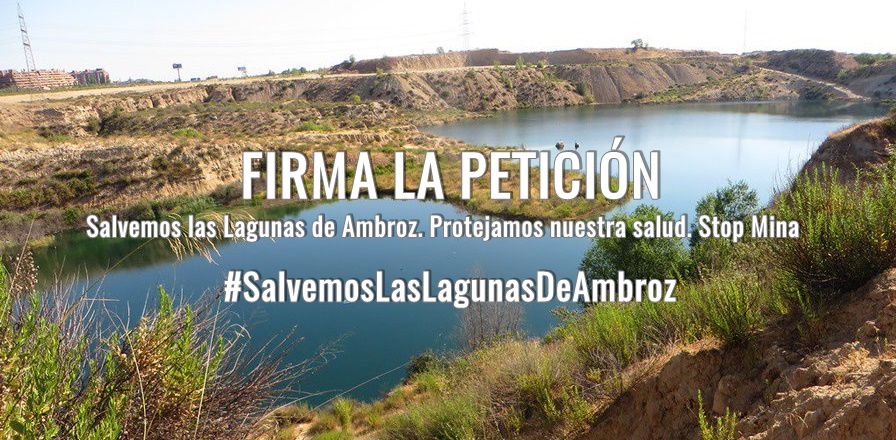 CorredorEcoSur's tweet photo. 💚 Las Lagunas de Ambroz son un oasis de biodiversidad que alberga muchas especies animales y vegetales, algunas incluidas en los "Catálogos Nacional y Regional de Especies Amenazadas" ¡Firma por su protección!
👉 https://t.co/J8bkYr9S3Y #SalvemosLasLagunasDeAmbroz https://t.co/bdOAKL7vLl