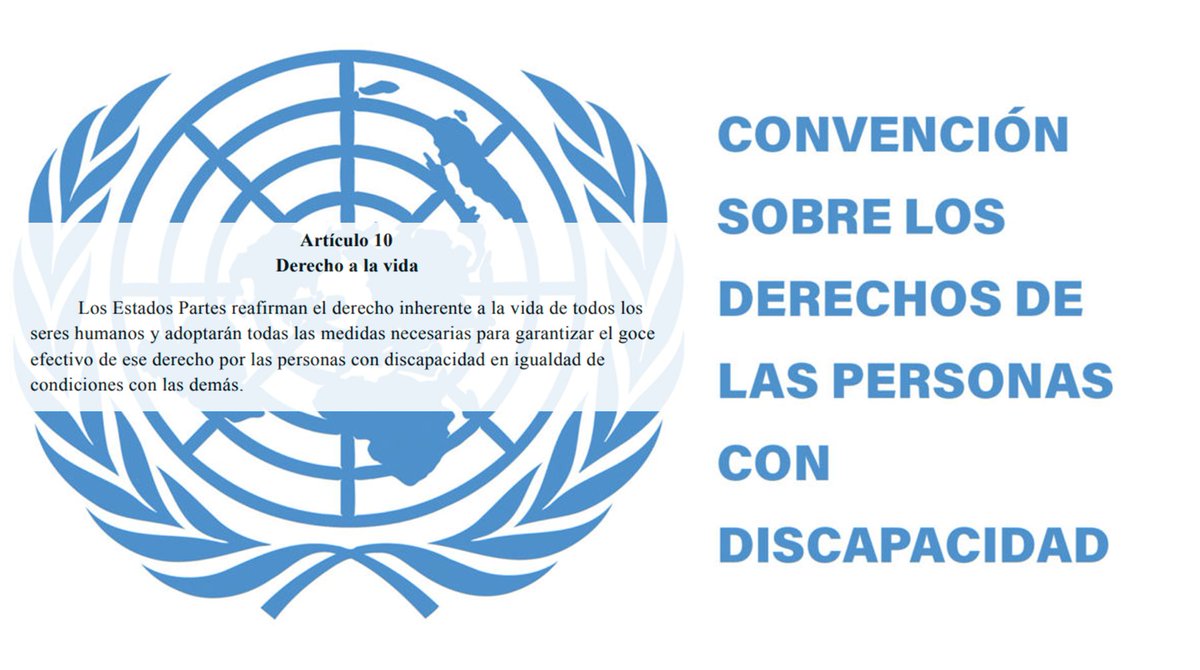 Foto cedida por FAMMA