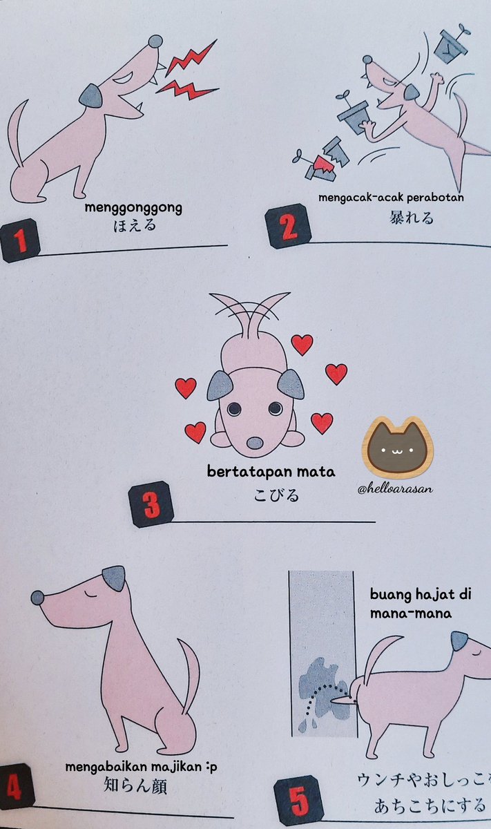 Pada suatu hari, elo memelihara anjing (kucing lah, anggep). Dari 5 hal di bawah, kelakuan hewan manakah yang PALING. SUKSES. BIKIN. LO. BINGUNG. JENGKEL. KZL. yha pokoknya gitu deh.Yang "paling", ya. Pilih satu dari lima pilihan ini, okeoke? 