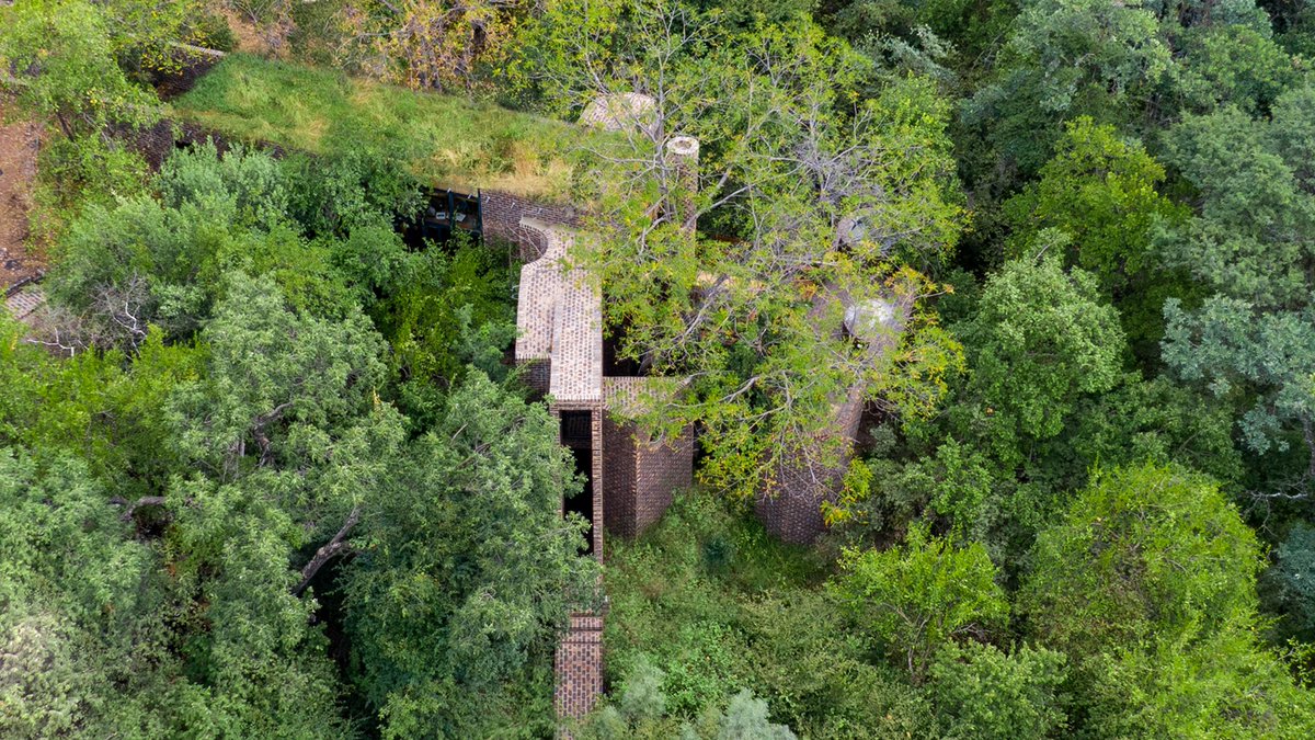 Frankie Pappas designed this skinny home in South Africa so that it would be enveloped by the surrounding forest: at.dezeen.com/32XHRed