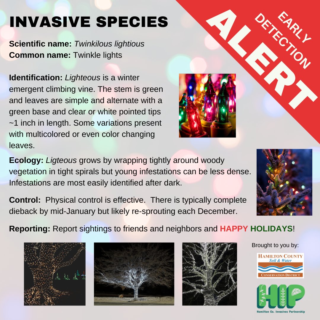 HCinvasives tweet media