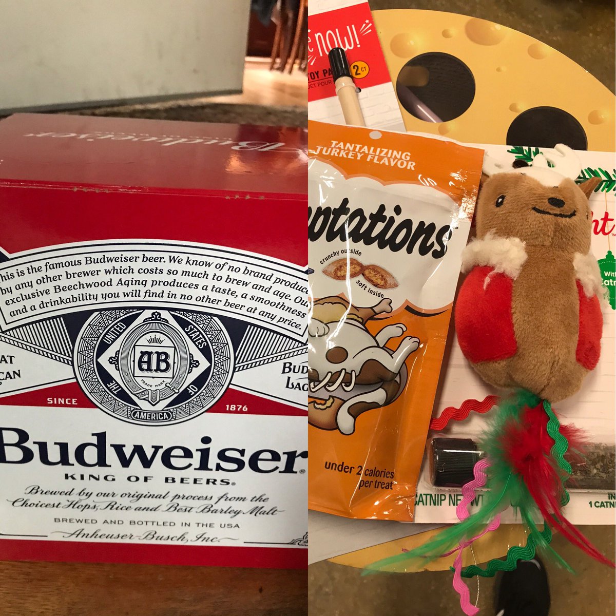 How I prepare for a snowstorm . 🍻😹☃️
#theessentials #wevegotcoldbeer #cattoysgalore