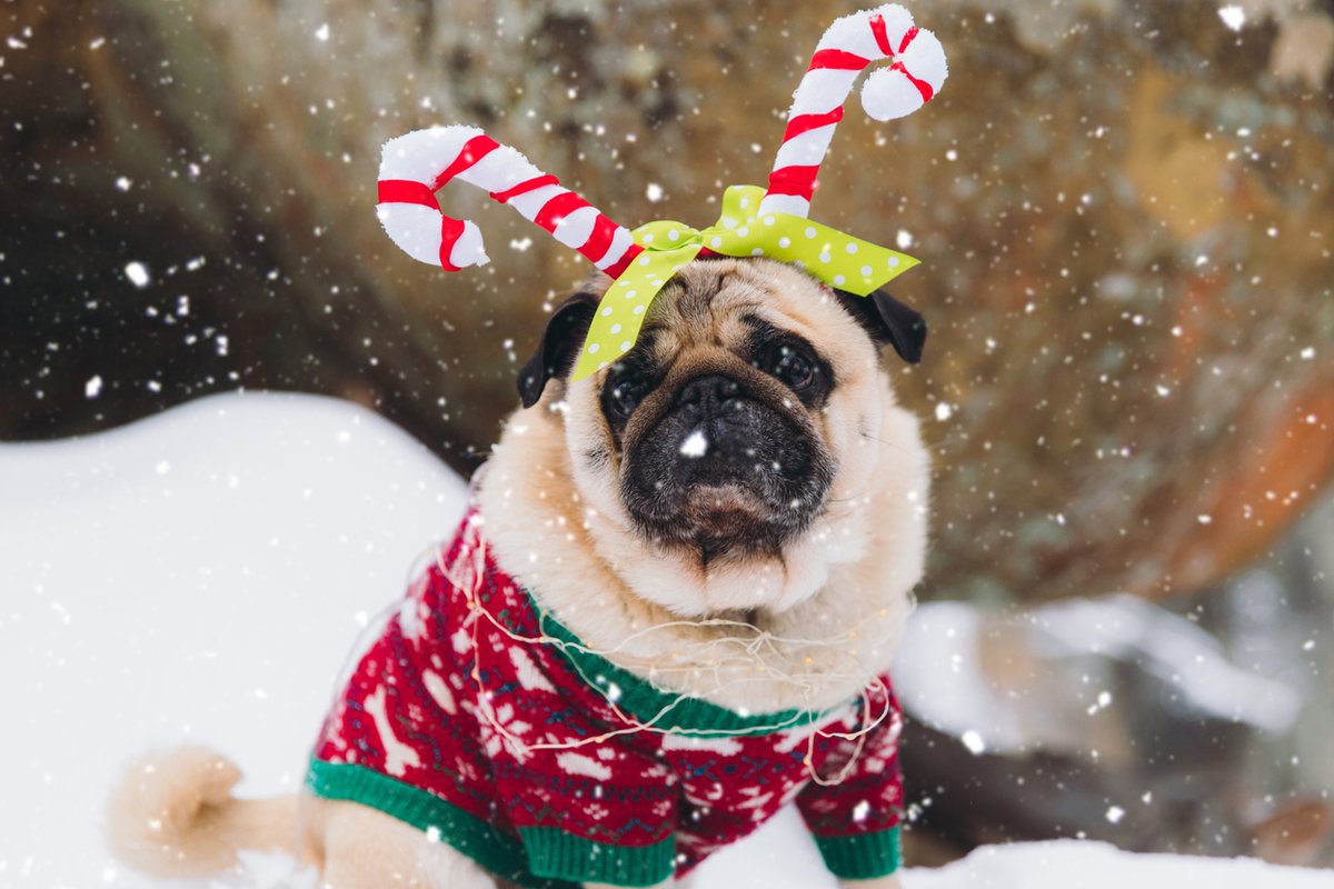 C2 Education tweet media