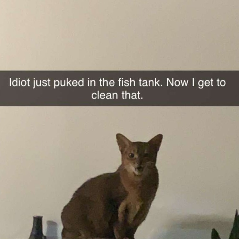 When you get too drunk at the holiday party and your wife has to take care of you because she took an oath to do so in front of God and your family