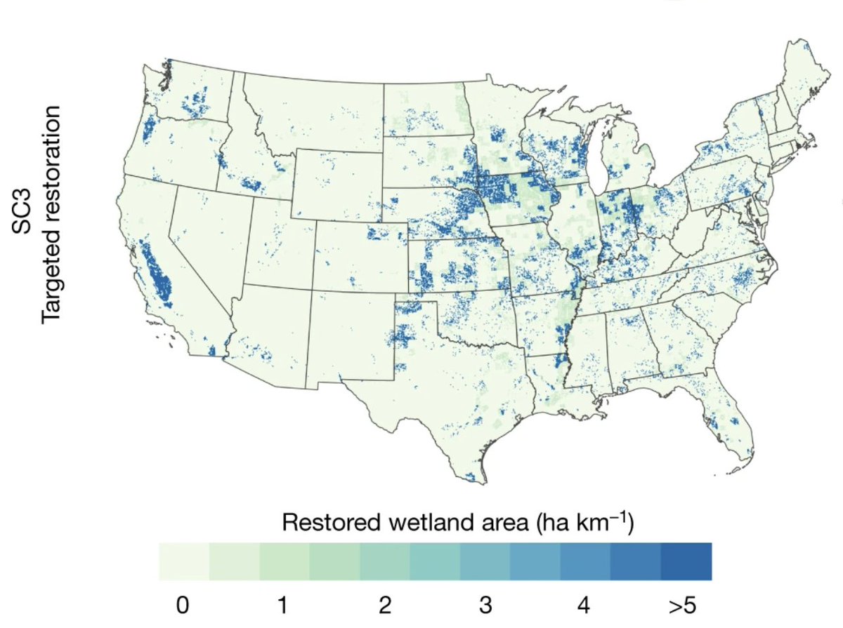 Aaron Strong Aaronlstrong Twitter