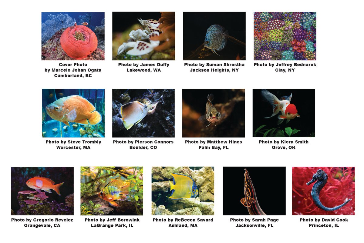 OmegaSeaLLC's tweet image. A HUGE congrats to all of our Photo Contest winners - here's the grand line-up! We are so grateful for all of the submissions. Thank you so much for your participation!
#omegasea #omegaone #photocontestwinners