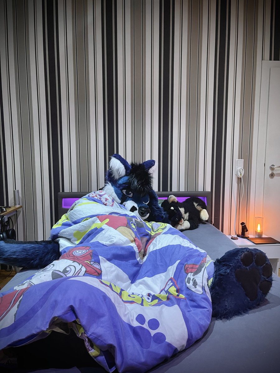 With the current situation, weather and cold outside, it’s best to just stay in bed. Care to join?
