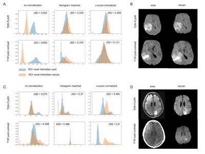 Radiology: Artificial Intelligence tweet media