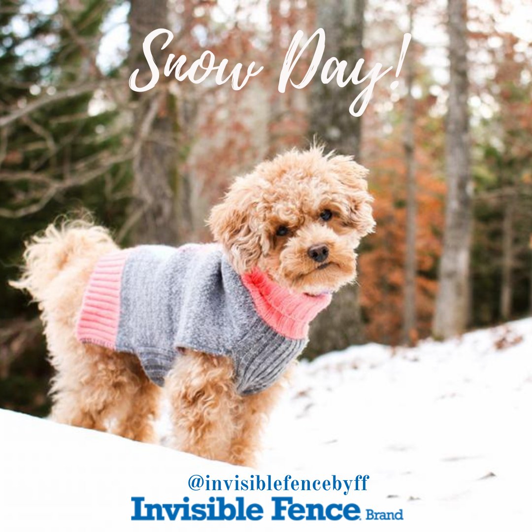 InvisibleByFF's tweet photo. Enjoy the snow but please remember these tips to keep your pet safe too!
*Protect your pet's paws.
*Trim foot fuzz.
*Limit time outside.
*Beware of antifreeze.
*Bundle up your pet (especially smaller breeds).
#SnowDay #Winter #Blizzard #PetSafety  #InvisibleFencebyForeverFence https://t.co/Rz2WoPqgee