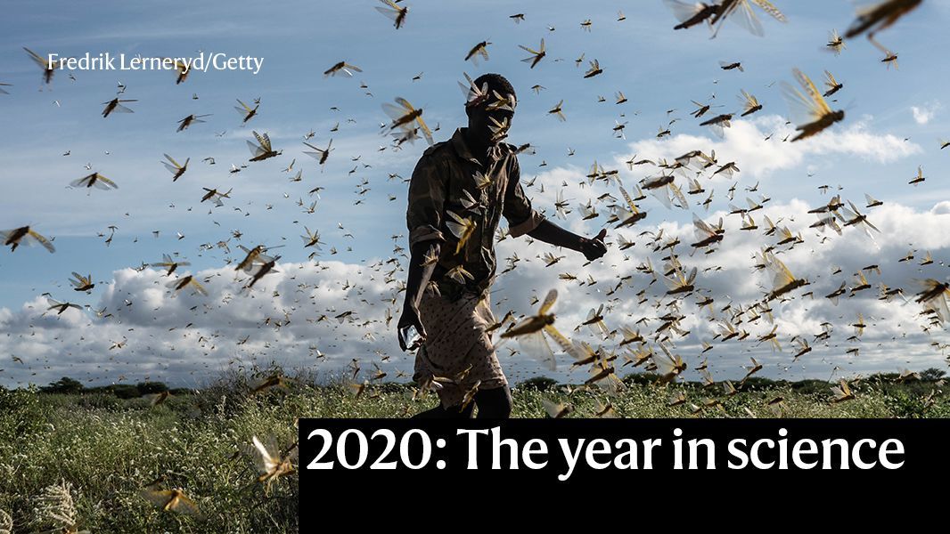 Take a look at the best #science images of #2020 from nature.com buff.ly/3agDu1K

One of these images has a close link with our very own #QUB
buff.ly/3r1uSSl
