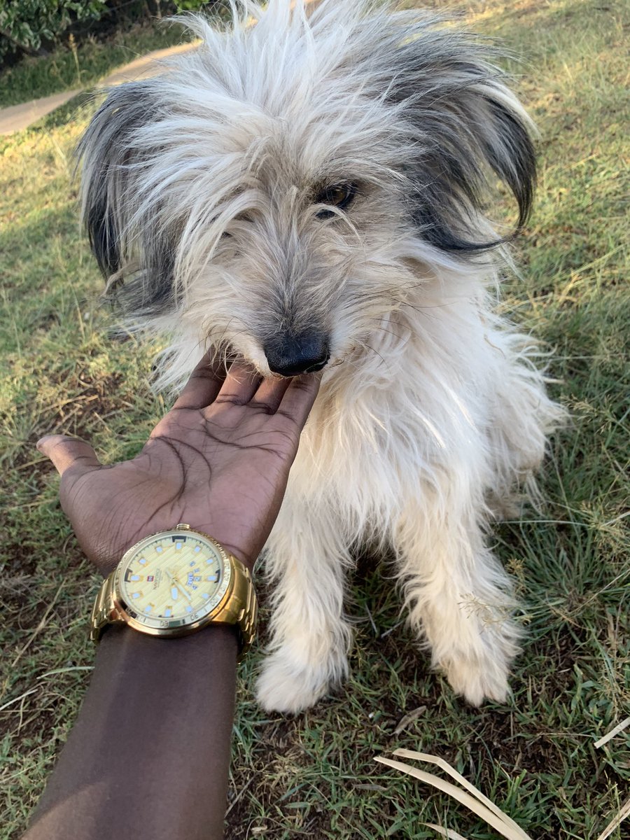 Kitengela is dusty af 