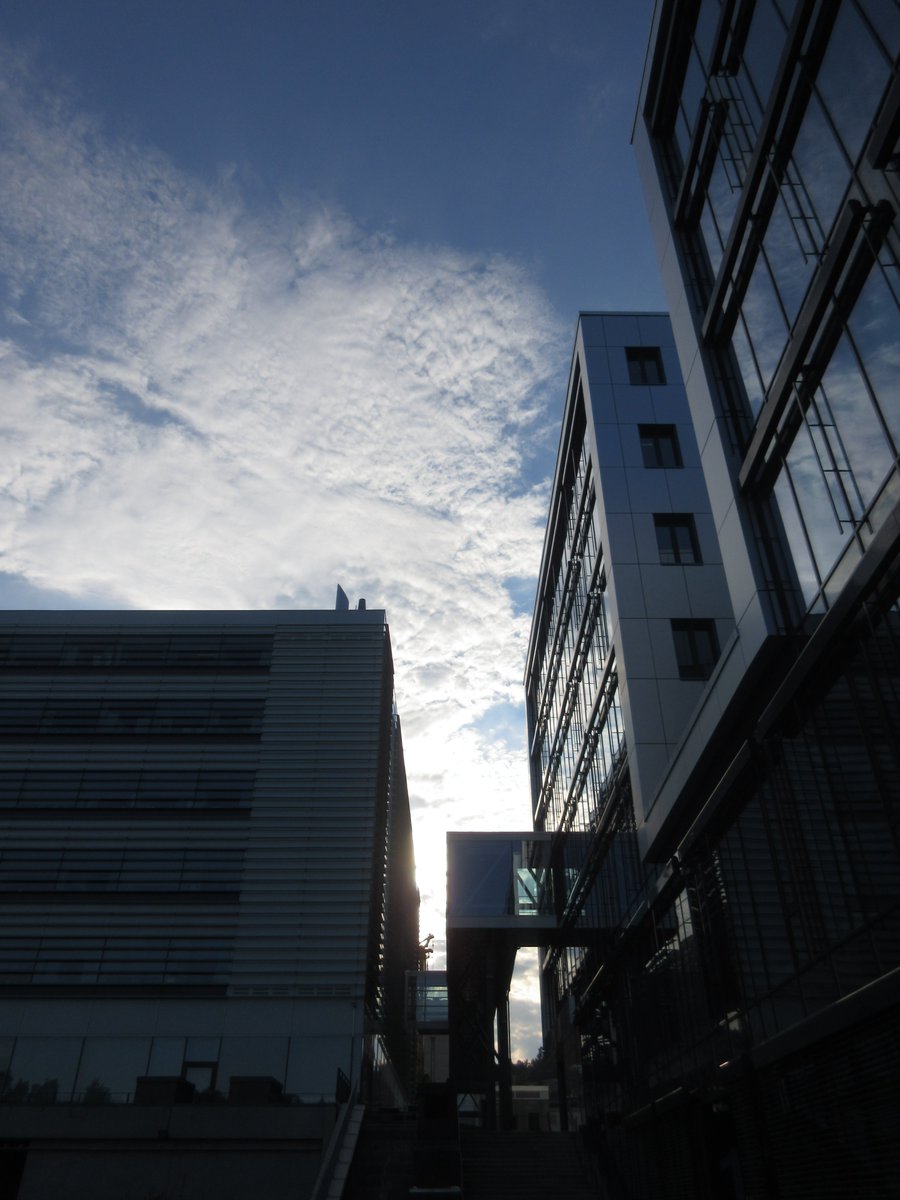 KajsaJAndersen's tweet image. Throwback feels 🤗

#Ullevål #Ullern #Radiumhospitalet #Oslo #Norway #Wednesday