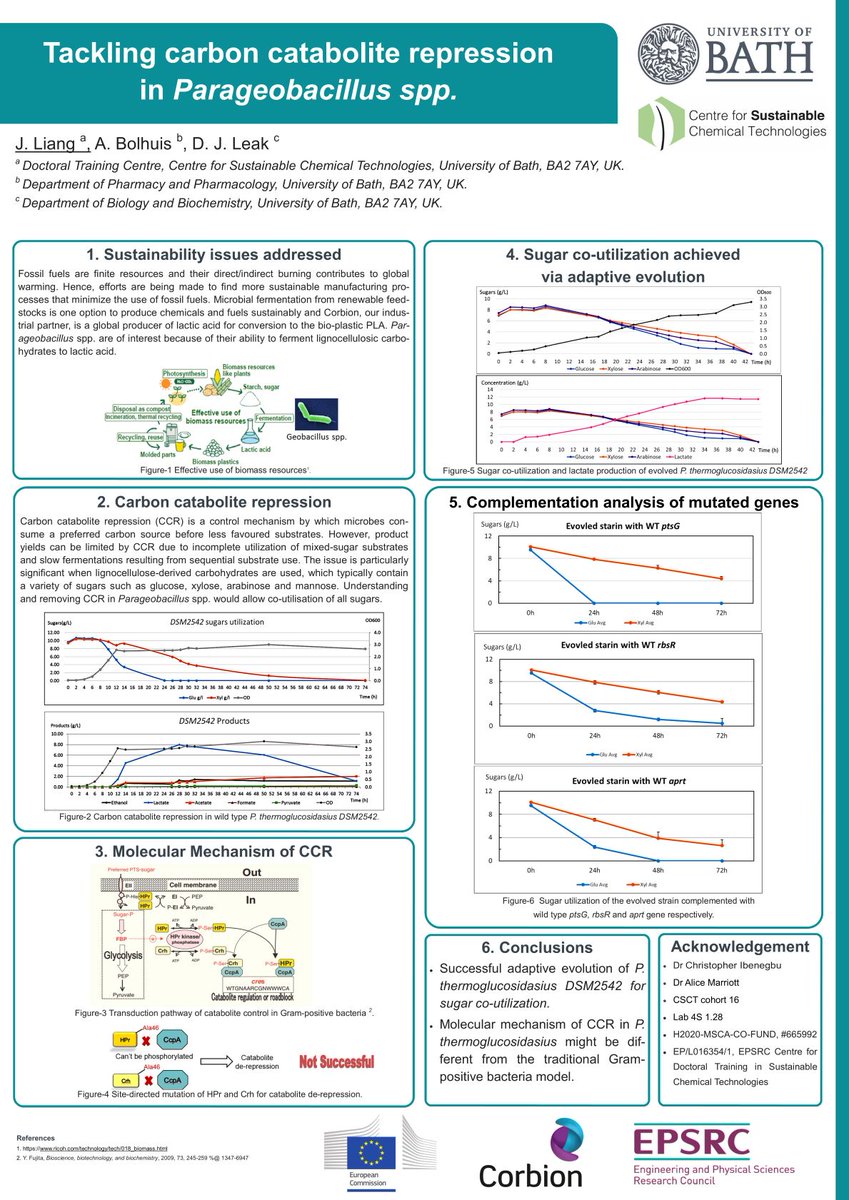 HelenJHLiang's tweet photo. My poster for  #csct20 Winter Showcase. Efforts to enable sugar co-utilization in Parageobacillus thermoglucosidasius.
@csctbath #AcademicTwitter #biotech https://t.co/vXywT9r2uj