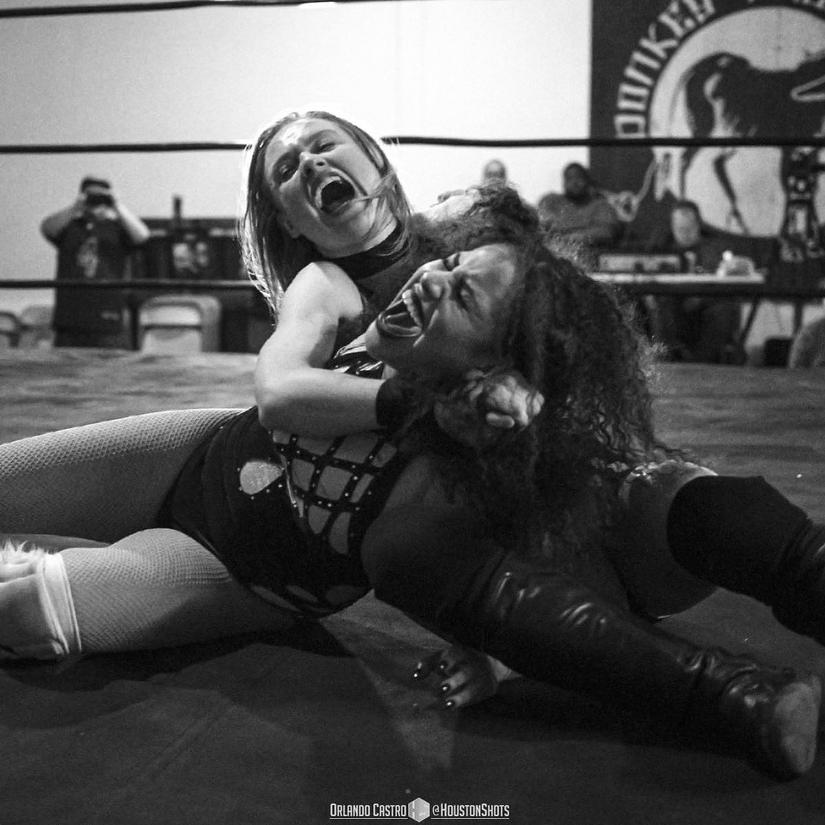 VWRProWrestling's tweet photo. The struggle is real.
#RWR #RiseoftheVixens #AlejandraTheLion #KillaKate #Submission #Wrestling #ProWrestling #ProfessionalWrestling #IndependentWrestling #IndieWrestling #Houston #WomensWrestling #Texas https://t.co/SyCA9DARVI