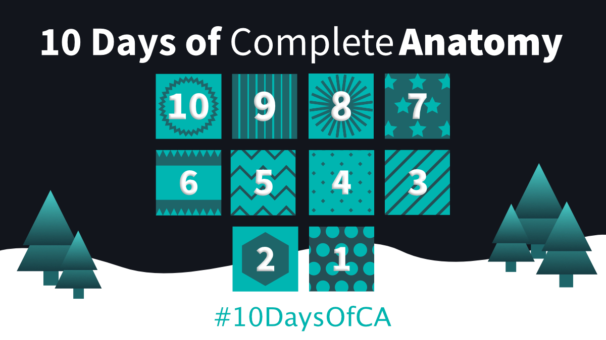 CompleteAnatomy's tweet photo. We're counting down the last 10 days until Christmas with our #CompleteAnatomy advent calendar by highlighting features of CA! 🗓 Keep an eye out for some random presents 🎁 along the way #10daysofCA https://t.co/Epea2X5KO3