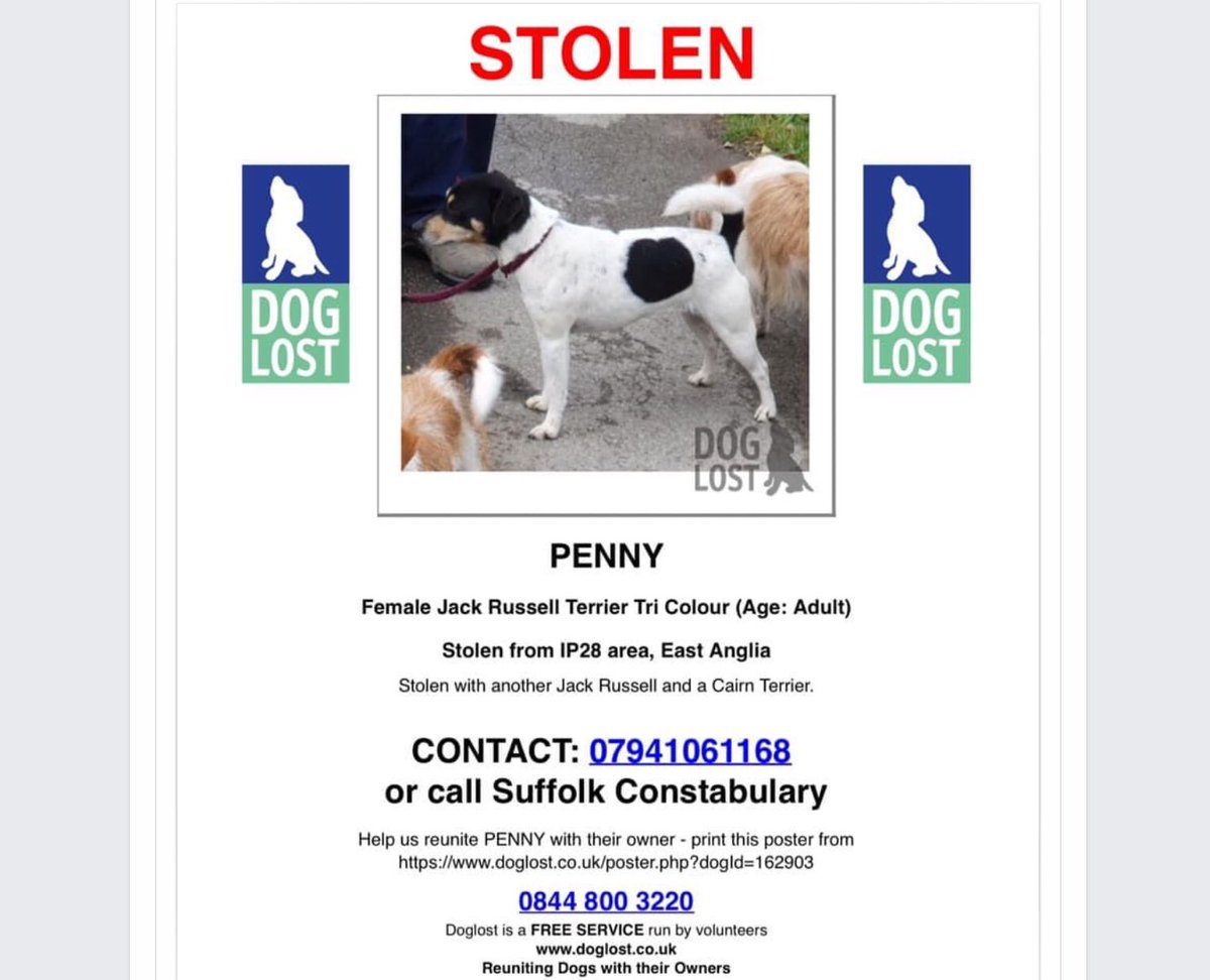TheMillieDog's tweet photo. Karen is delighted to have her two boys back but little Penny is still missing. Please continue to share. She needs to come home to her family. https://t.co/YvtkIP28QS