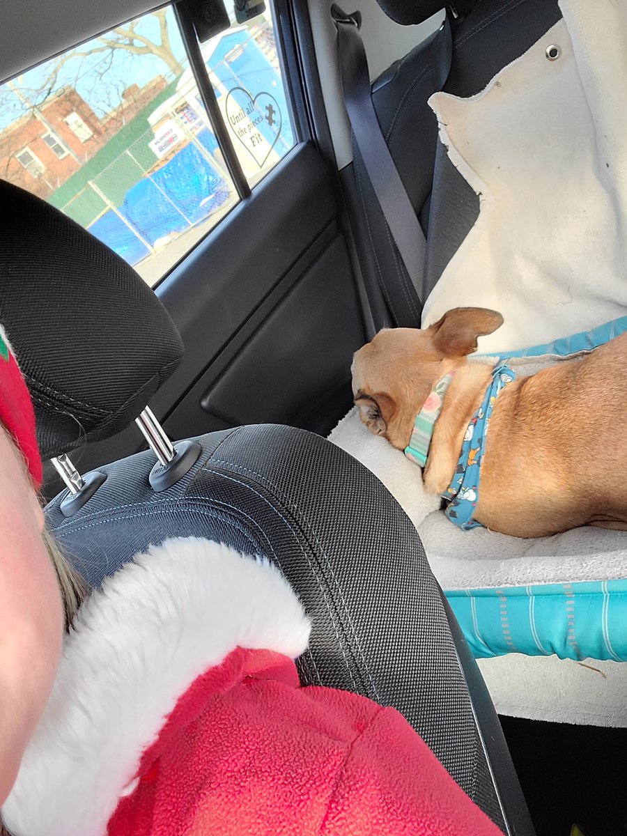 LauraRenner9's tweet photo. Yesterday I delivered gifts to each of my students homes.We remote all year.. Abby &amp; I wanted to spread a little holiday cheer! This was the 1st time they saw me in person.  The joy I saw on all their faces is irreplaceable 💖even got 🎁too @natasha_nurse @RomanelliPaul #LBleads https://t.co/QbWvcl9ChX