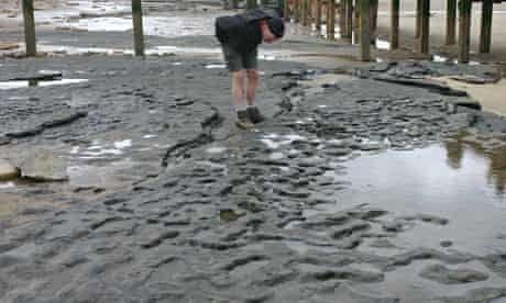 The lands that are now Britain have been occupied by humans for around 900,000 years (the earliest evidence from Happisburgh in Norfolk. But these footprints do not betray what species these people were – it’s certainly earlier than Homo sapiens. 9/N