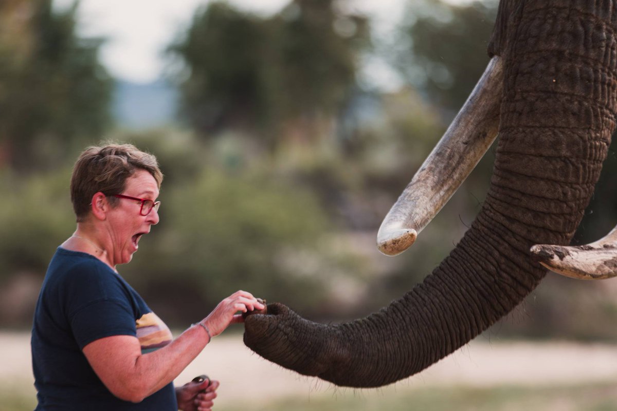 Victoria Falls Guide tweet media