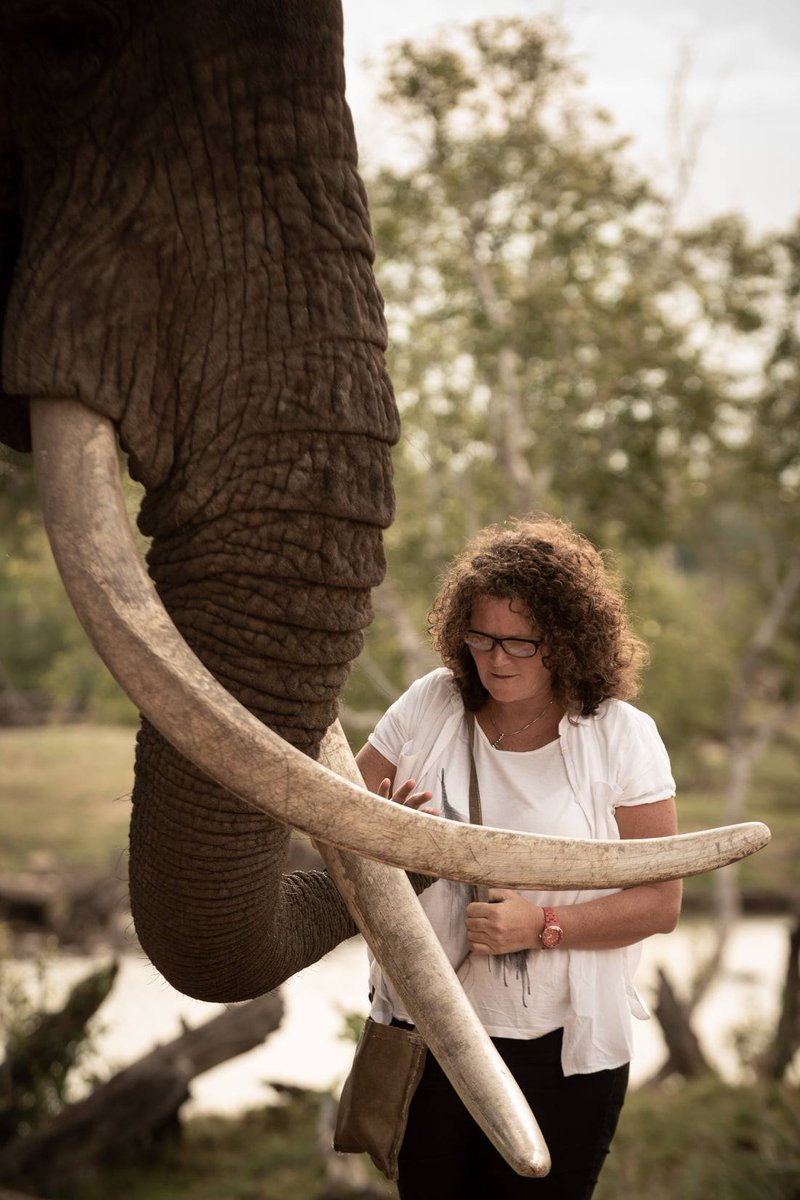 Victoria Falls Guide tweet media