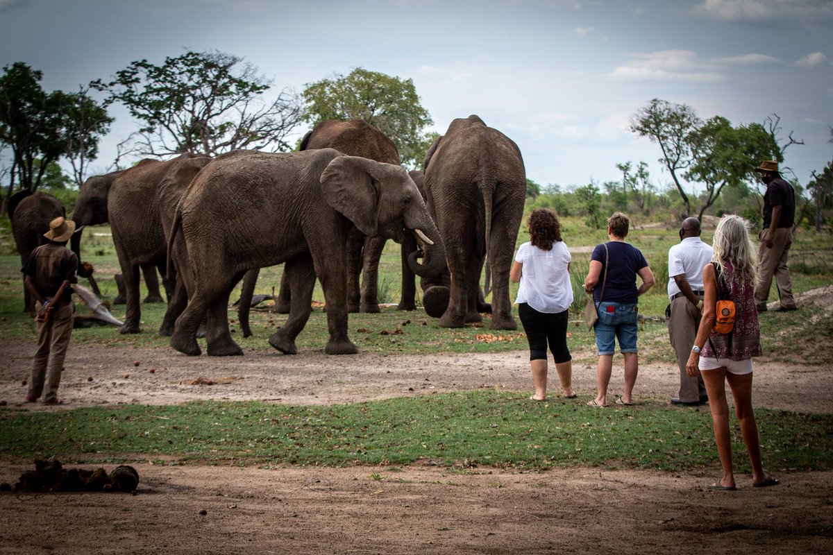 Victoria Falls Guide tweet media