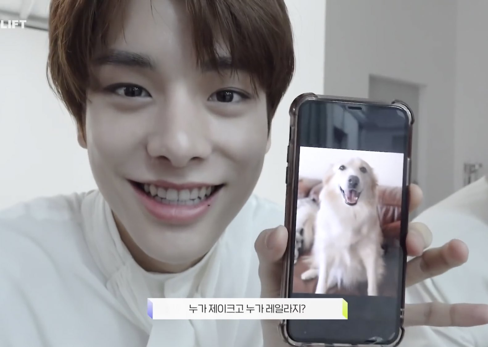 さらん 人が飼ってる犬の話ほど興味湧かないものないんだけど さすがにレイラは可愛い ジェイクを見ながら Enhypen レイラ ジェイラ ジェイク T Co 7agvkjpwaj Twitter