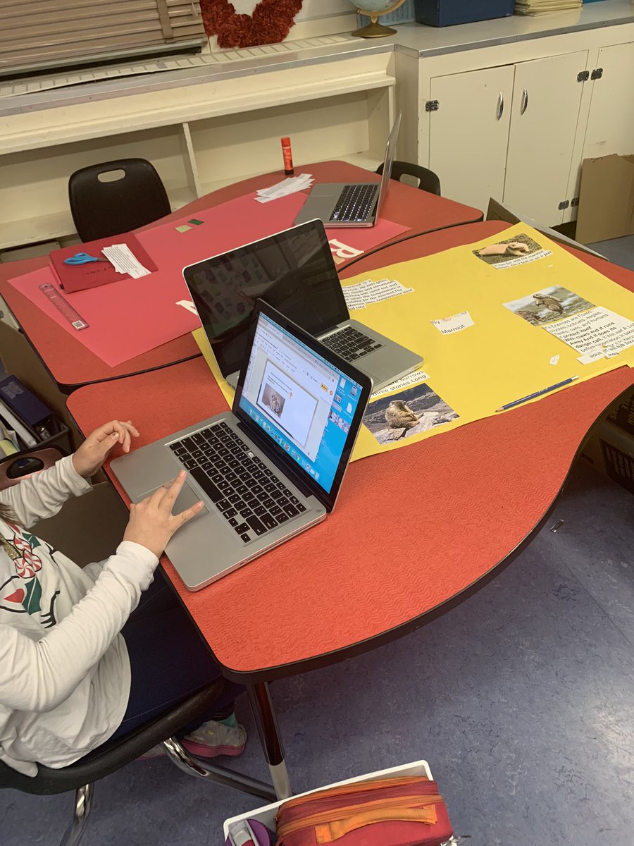 Dana_Brierton's tweet photo. Slide shows and Posters, oh my! #grade45 #animalresearchprojects @msrussells4_5s #haysboroloveslearning https://t.co/rbyyfiYzFL