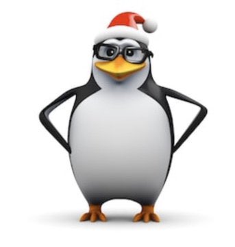 david tennant as penguins: an important thread