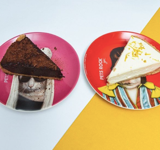 Pets Rock World tweet media