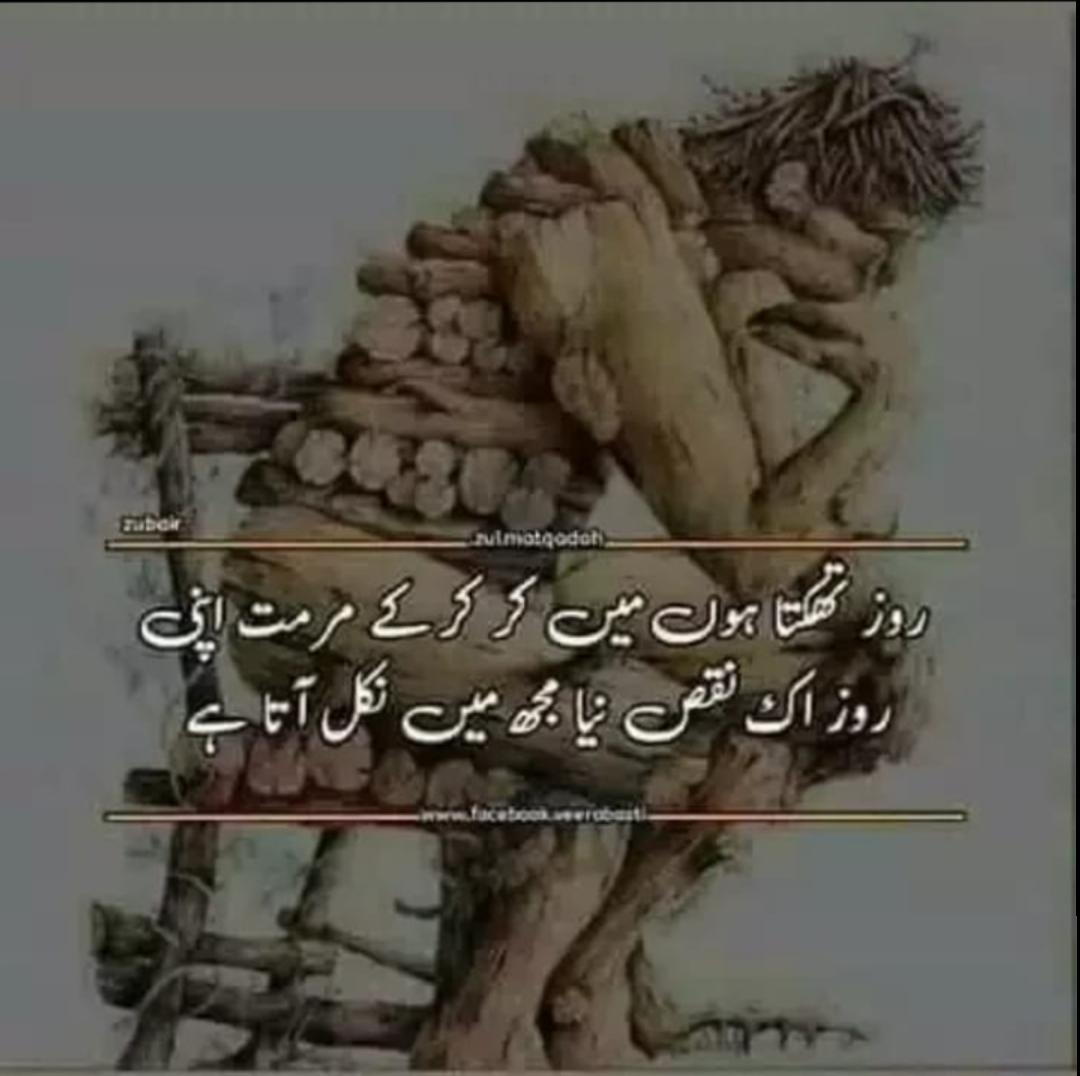 HammadAminkhan's tweet photo. 😥🐥 https://t.co/gCLfABa11I