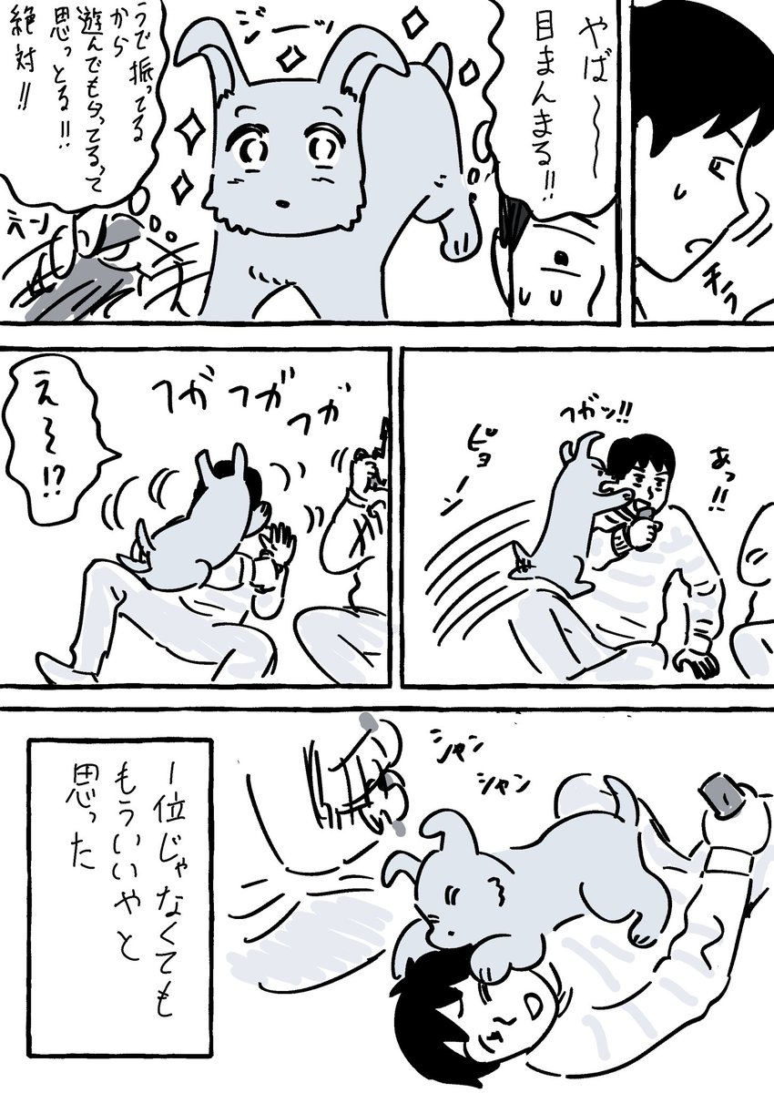 犬ハンデ③ おわり 