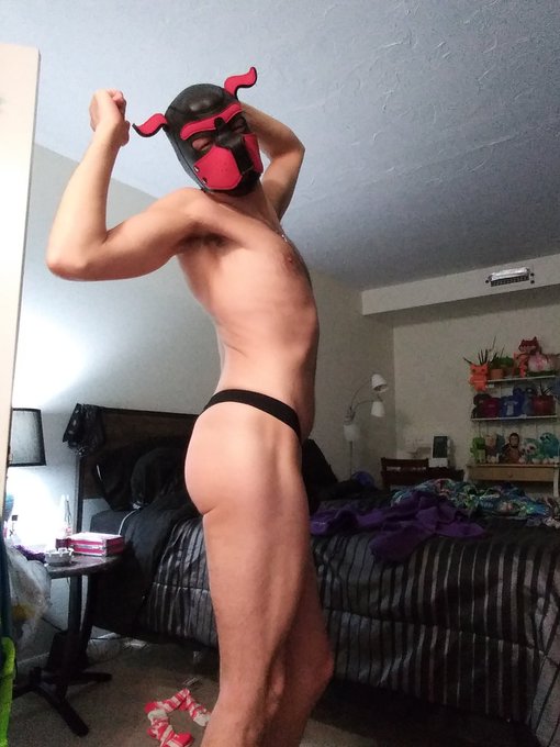 Goooooood morning twitter pups and peoples!   #puppyplay #humanpup #gaypup #gaypuppyplay #puppyplaycommunity<a href="/tag/puppyplay"class="tags">#puppyplay</a><a href="/tag/gay"class="tags"><span>#gay</span></a><a href="/tag/humanpup"class="tags"><span>#humanpup</span></a><a href="/tag/gaypup"class="tags"><span>#gaypup</span></a><a href="/tag/puppyplaycommunity"class="tags"><span>#puppyplaycommunity</span></a><a href="/tag/gaypuppyplay"class="tags"><span>#gaypuppyplay</span></a>